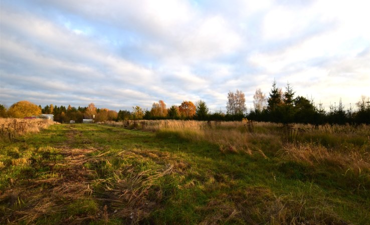 działka na sprzedaż - Wałcz