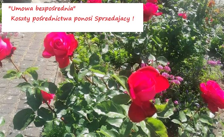 mieszkanie na sprzedaż - Wałcz