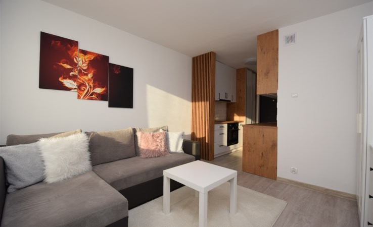 mieszkanie na wynajem - Piła, Zamość