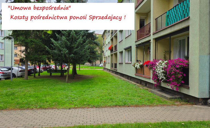 mieszkanie na sprzedaż - Czarnków
